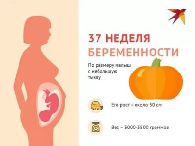 Сколько весит ребенок в 37 недель
