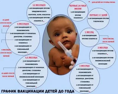 Какие прививки делают детям в 3 месяца