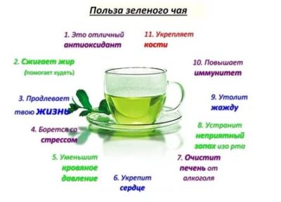 Можно ли давать ребенку зеленый чай