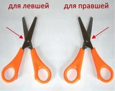 Как научить ребенка работать с ножницами