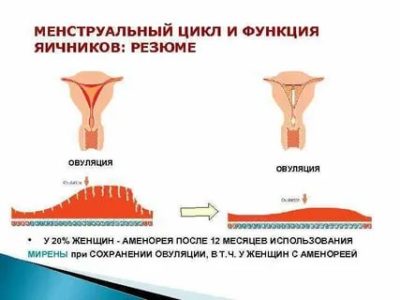 Когда восстанавливается менструальный цикл после родов
