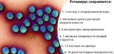Сколько ротавирус может жить во внешней среде