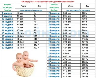 Сколько весит ребенок в 27 недель