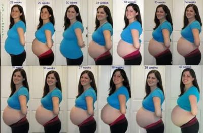 Когда начинает расти живот при беременности двойней