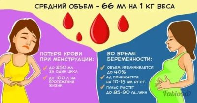 Сколько крови теряет женщина во время месячных