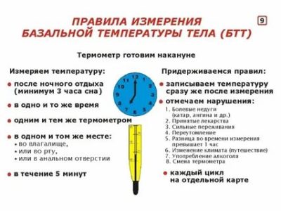 Сколько по времени нужно измерять базальную температуру