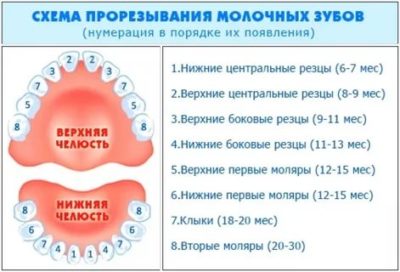Какая температура может быть у ребенка при прорезывании зубов