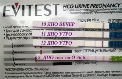 Когда можно делать тест на беременность с чувствительностью 20