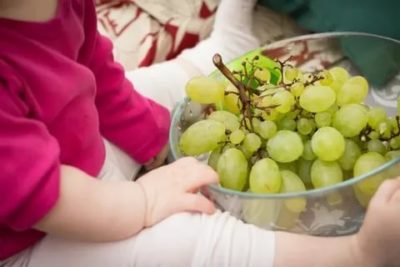 Можно ли детям виноград